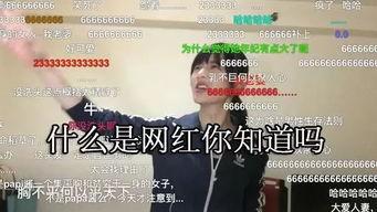 网红yy杨新浪微博