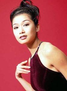 张慧仪资料,才华横溢的艺术家与她的多彩人生