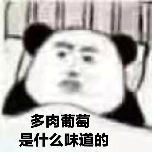 闻头发表情包